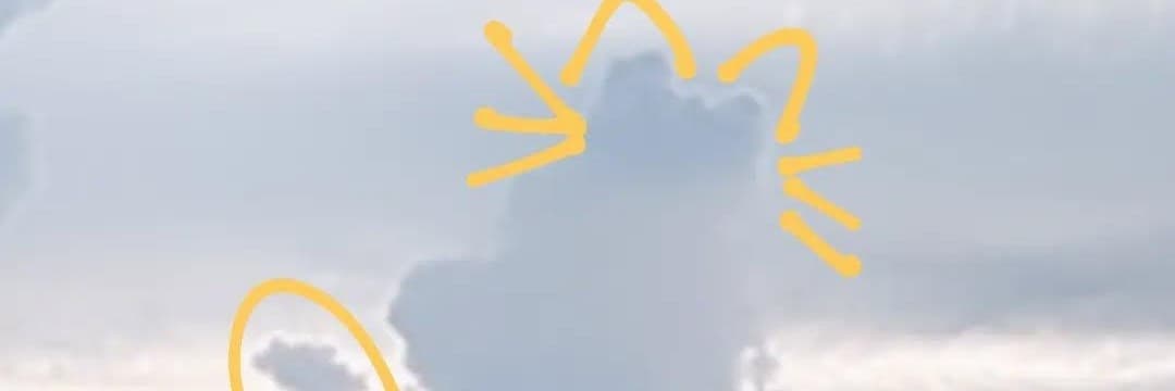 尹尹