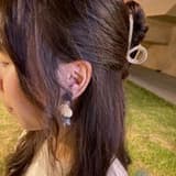 黒い金牛