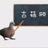 🪨實話🍽️
