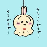 bruce_qwq