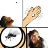 殺蚊主義