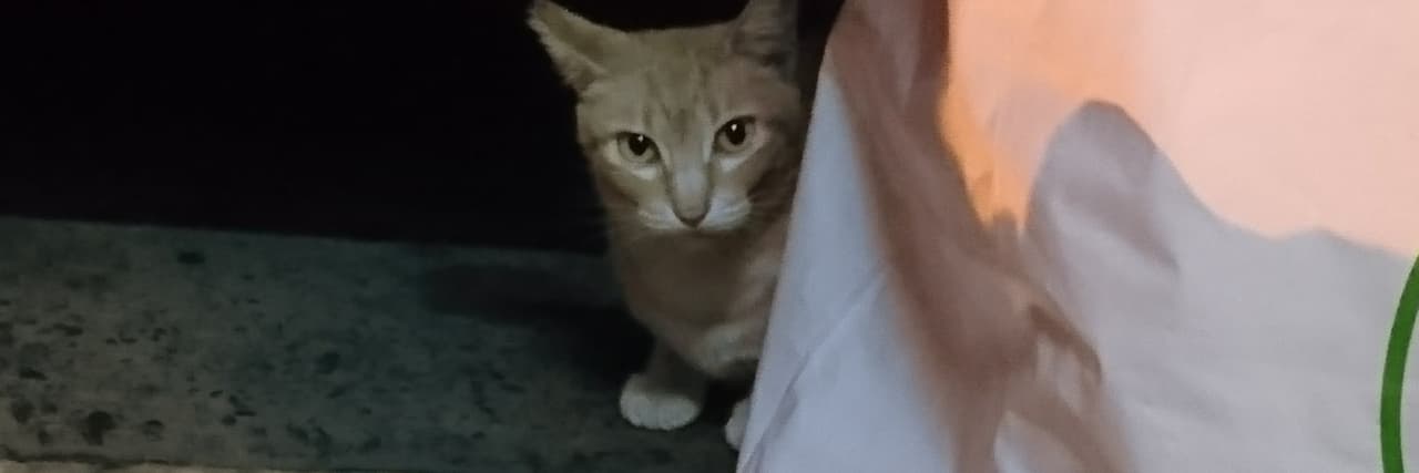 超好吃豆花