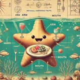 飄飄海星