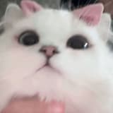 fumie0127