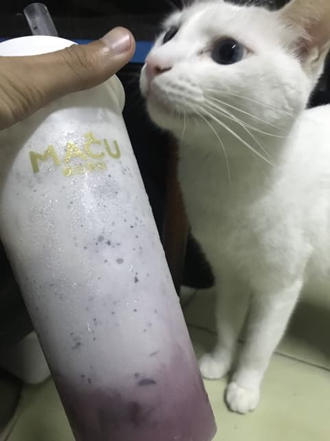 megapx