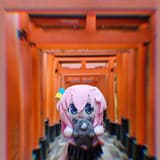 紫