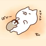 企鵝星人眷養的貓