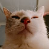 Hello♥︎KiKi