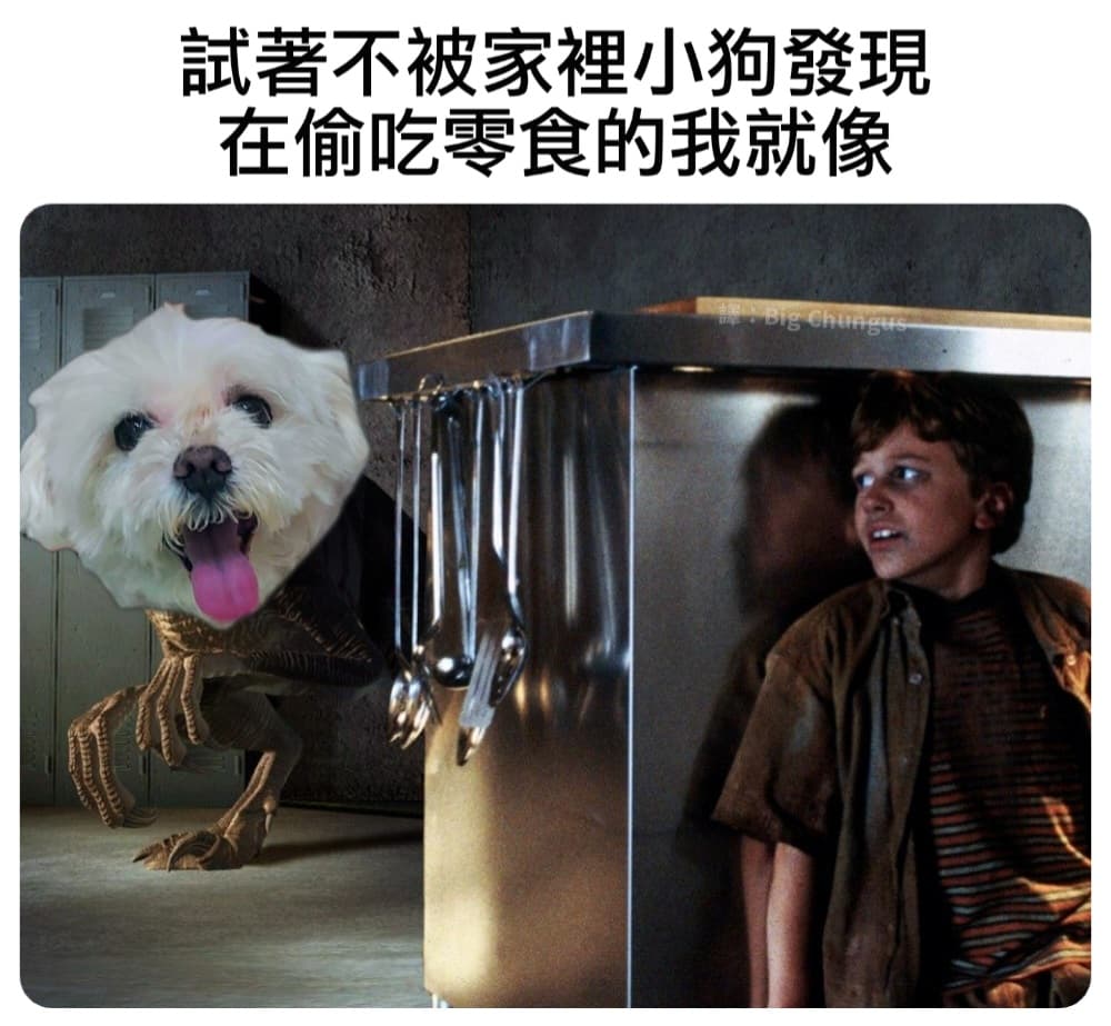 #翻譯 你不行吃 - 梗圖板 | Dcard