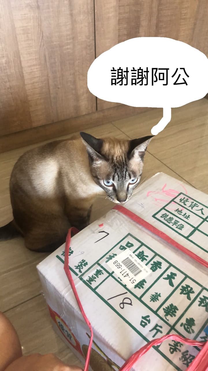megapx