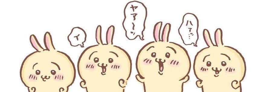 傻眼貓咪