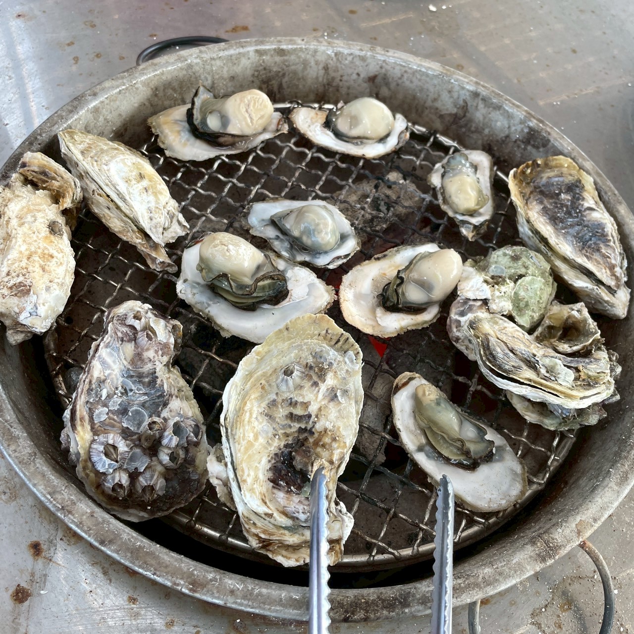 國內遊記 嘉義東石漁港一日遊～