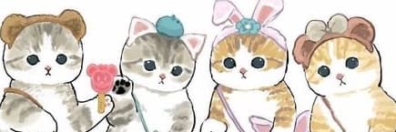 哈囉芒果