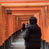 黛比漫遊
