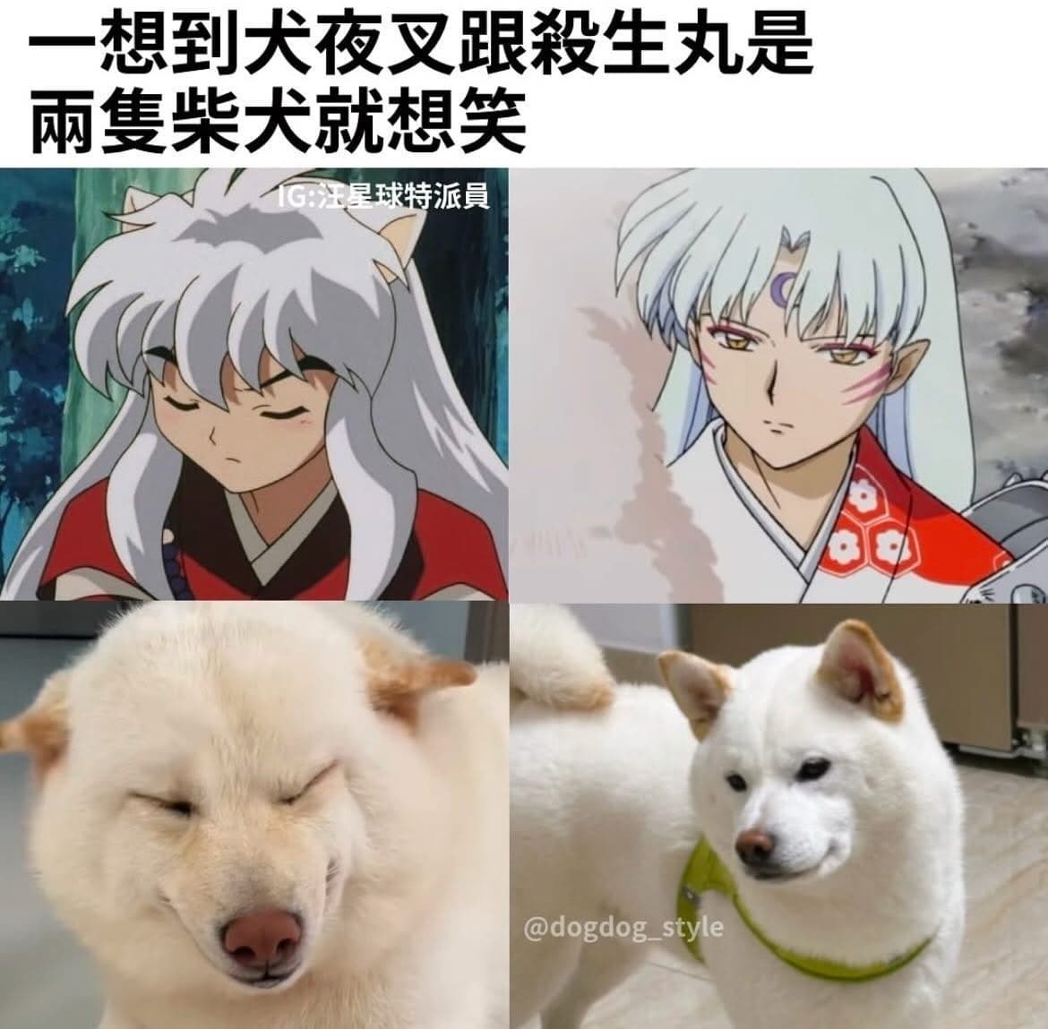 轉發柴犬- 梗圖板| Dcard