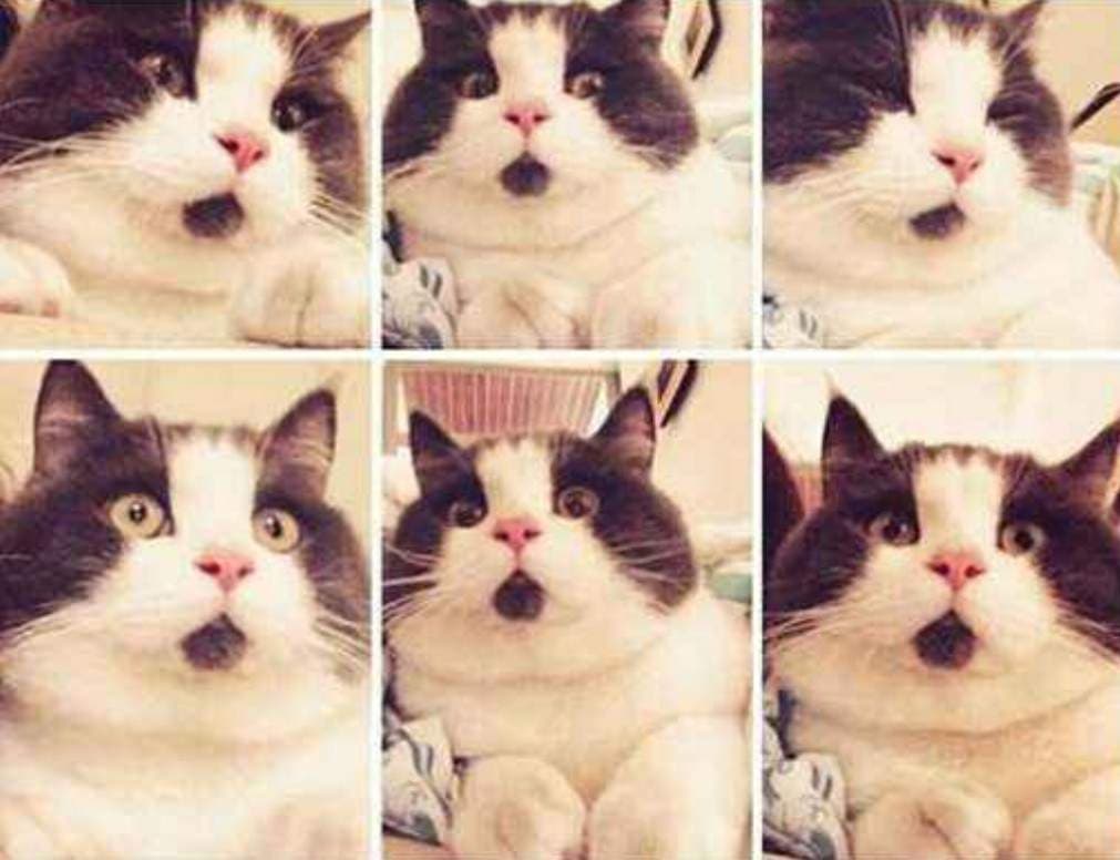 megapx