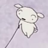z.nk_