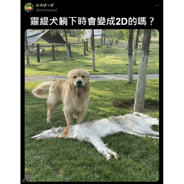 #翻譯 2D狗勾 - 梗圖板 | Dcard