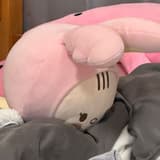 尹囧囧的抱枕