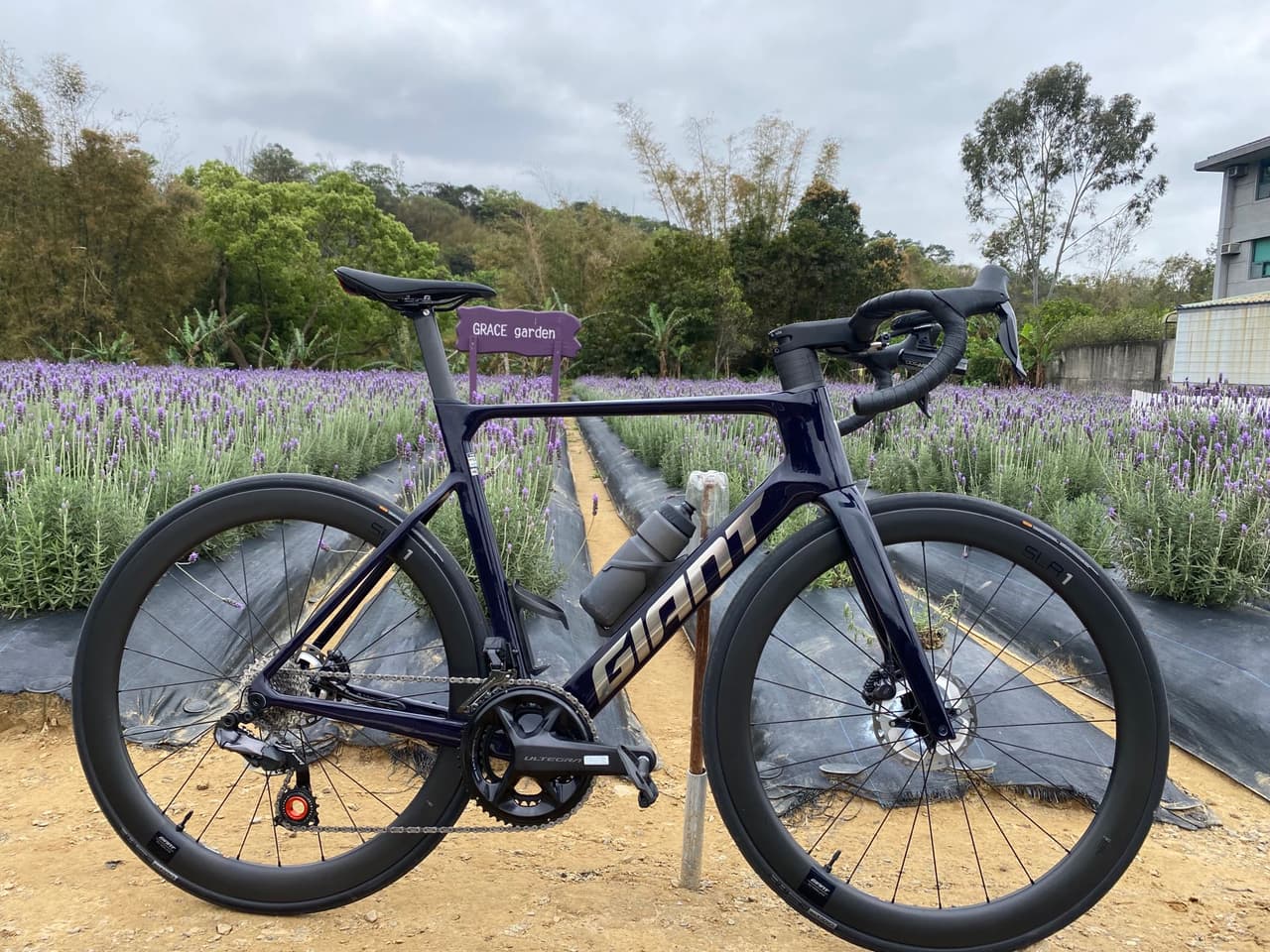 2023 Propel advanced pro 0 di2 騎乘一個月分享 - 單車板 | Dcard