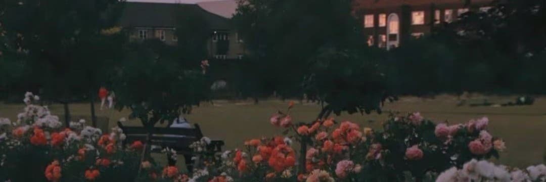 深夜綻放一朵朵小花🌸