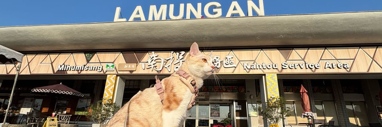 拾壹小貓
