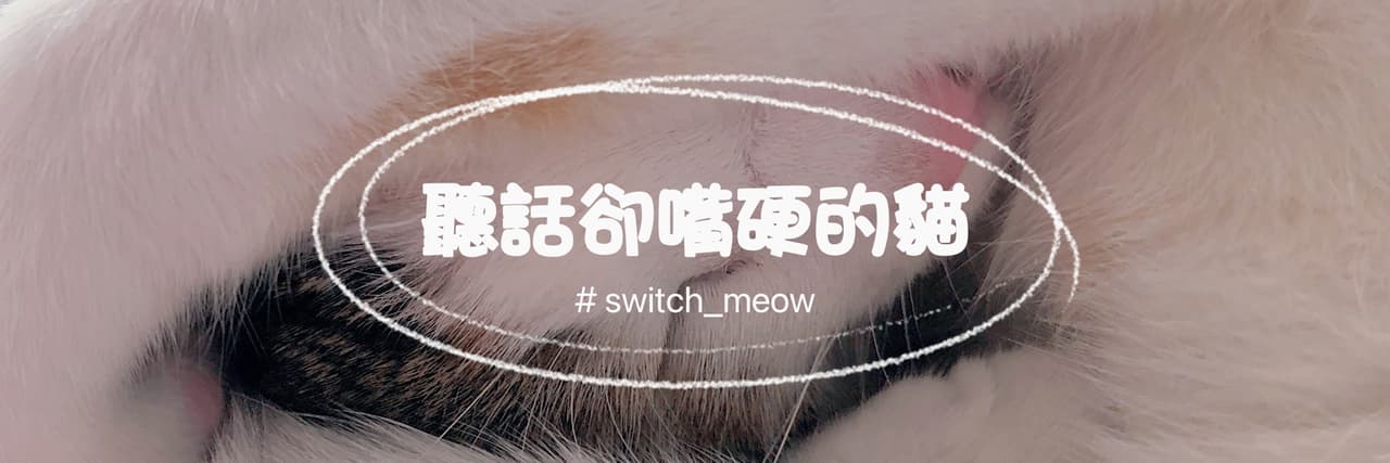 聽話卻嘴硬的貓