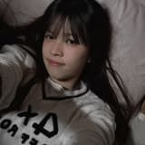 睡貓