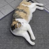哭啊