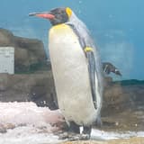 happyzoo