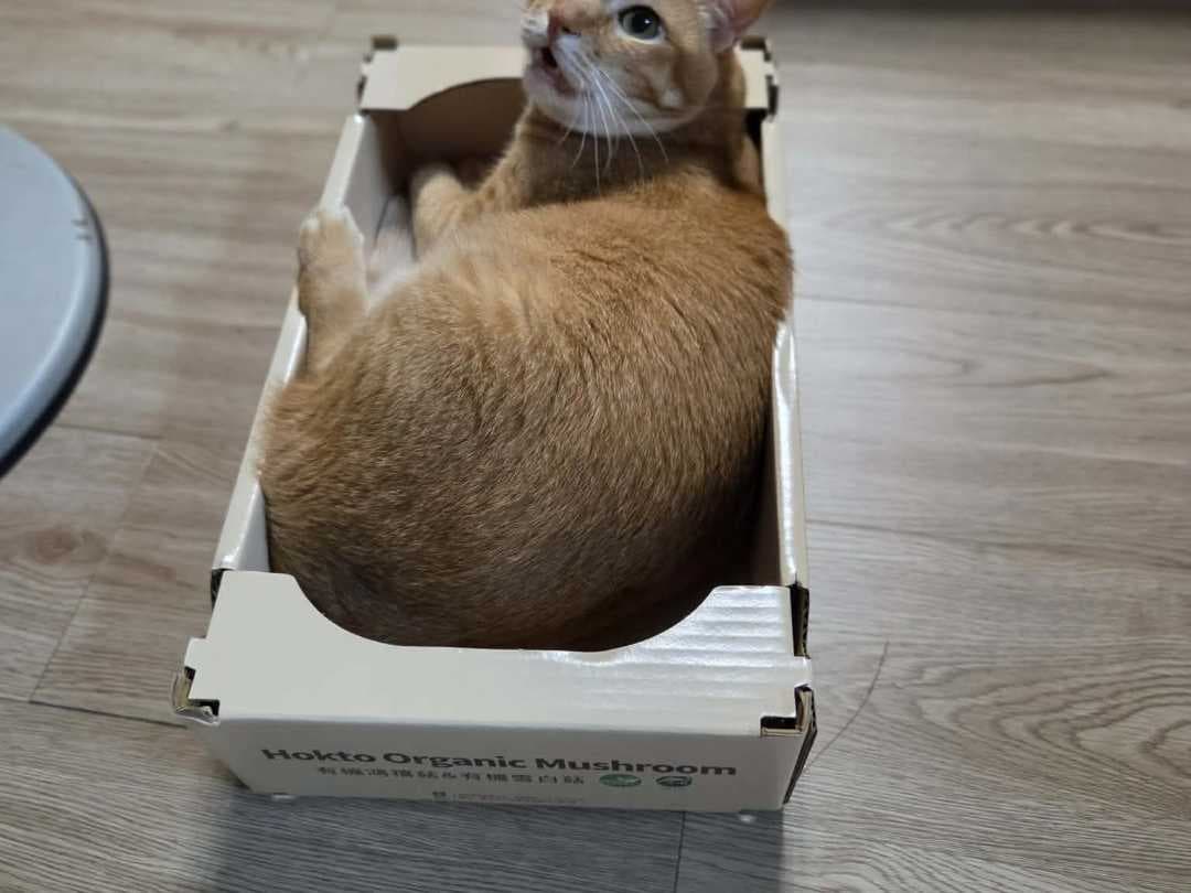 megapx