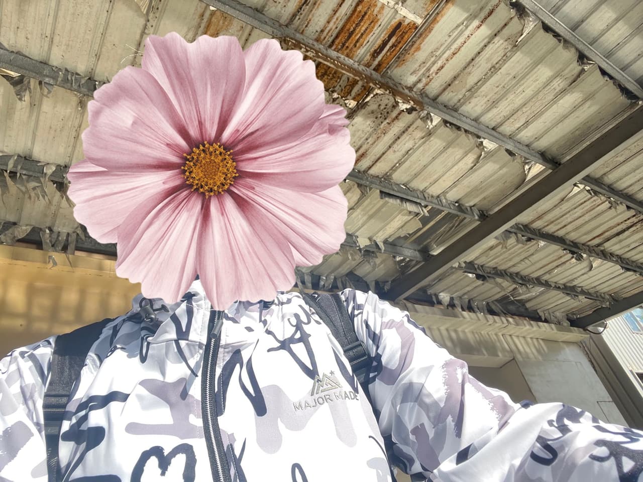megapx