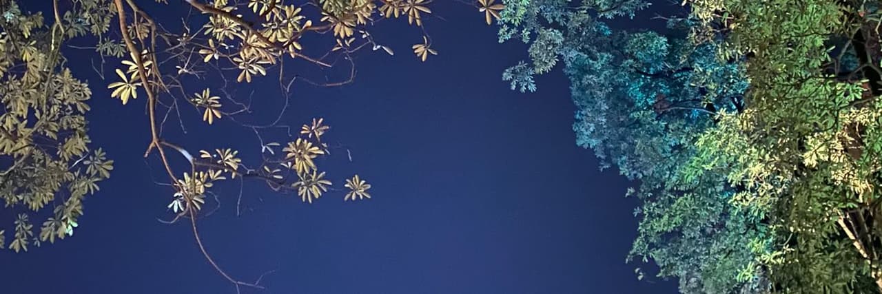 🍎