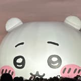 鄭朵