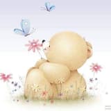 pretty  bear