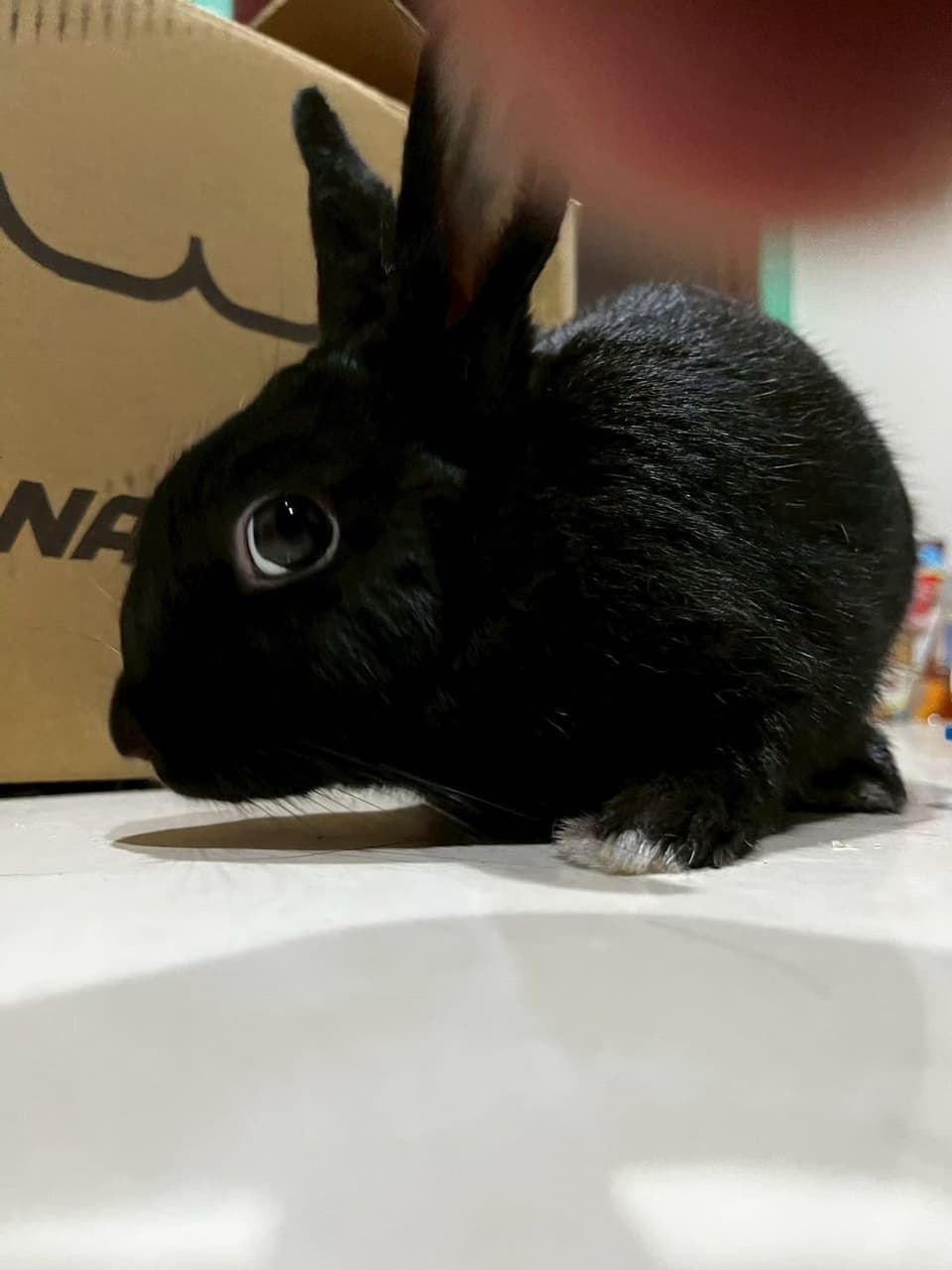 megapx