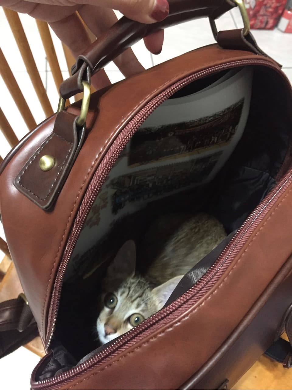 megapx