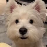 winnie00