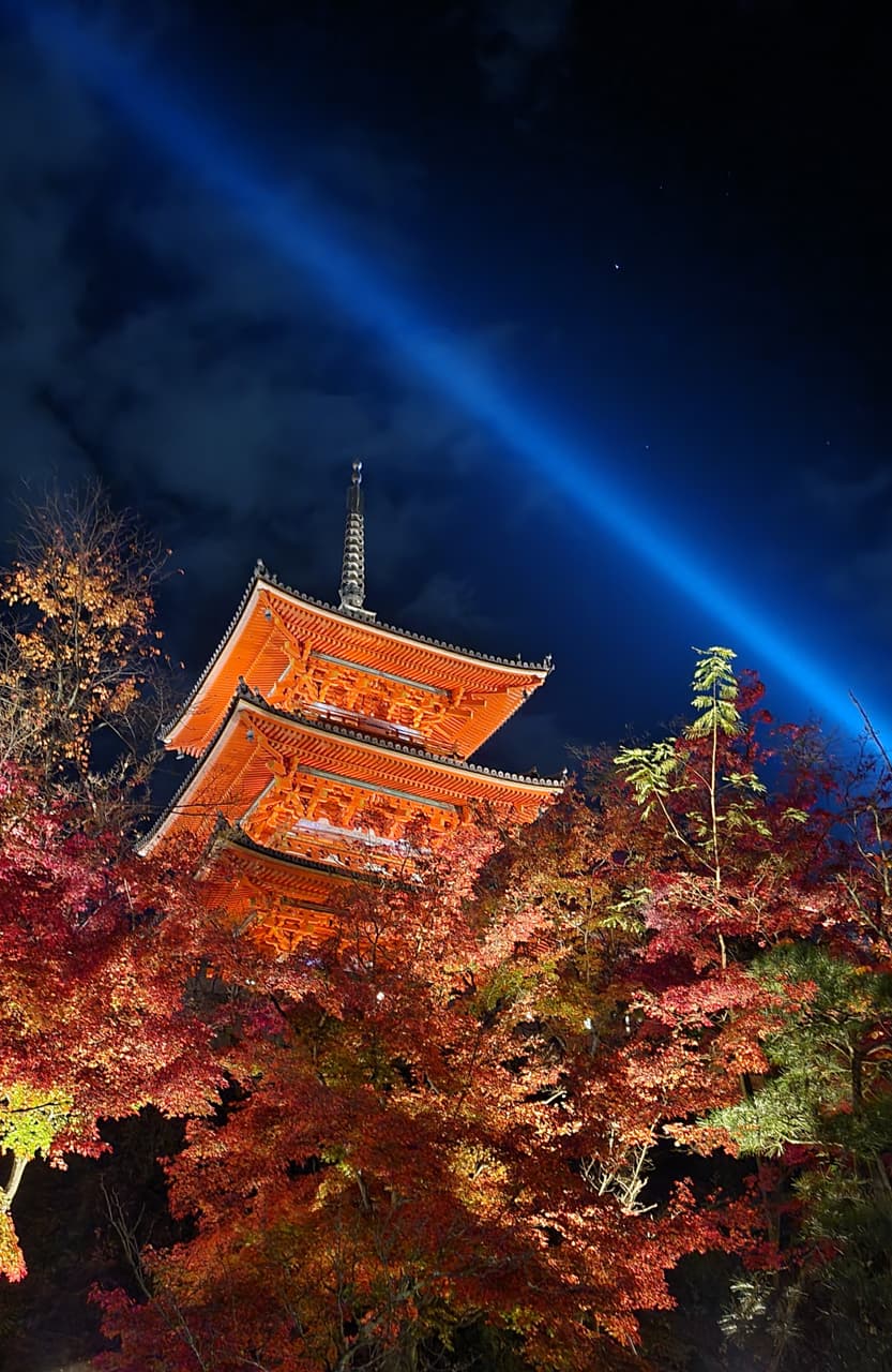 🍁京都｜秋季賞楓季巡禮(圖多 - 日本旅遊板 | Dcard