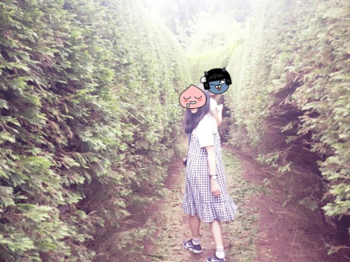 megapx