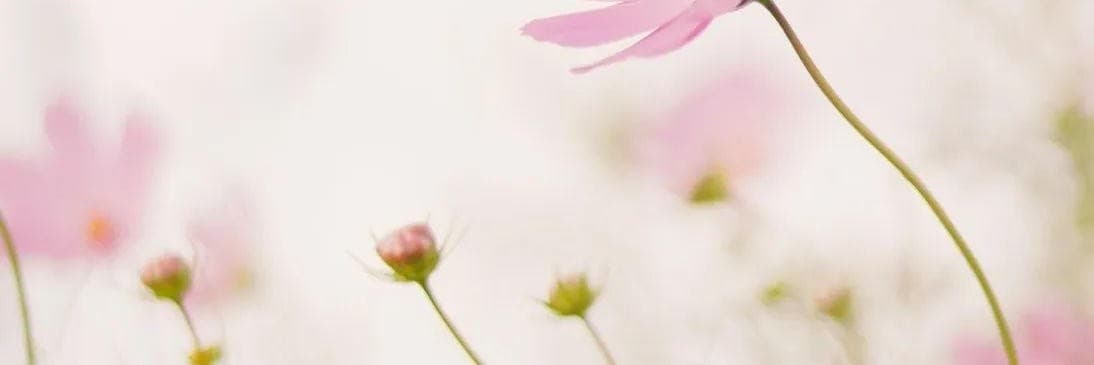 ❁瑄❁