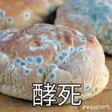 北部的粽