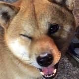 chummier