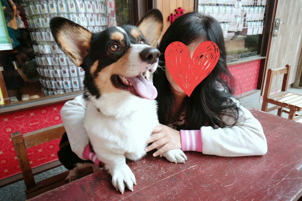 megapx