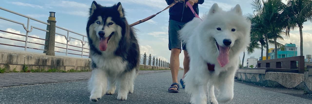 我的怪獸宇宙 ♡