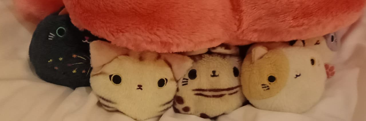 北晚蒼亞*°ω°*ฅ)*