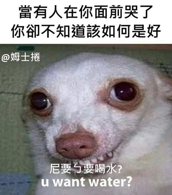 呃 熱水可以嗎 梗圖板 Dcard