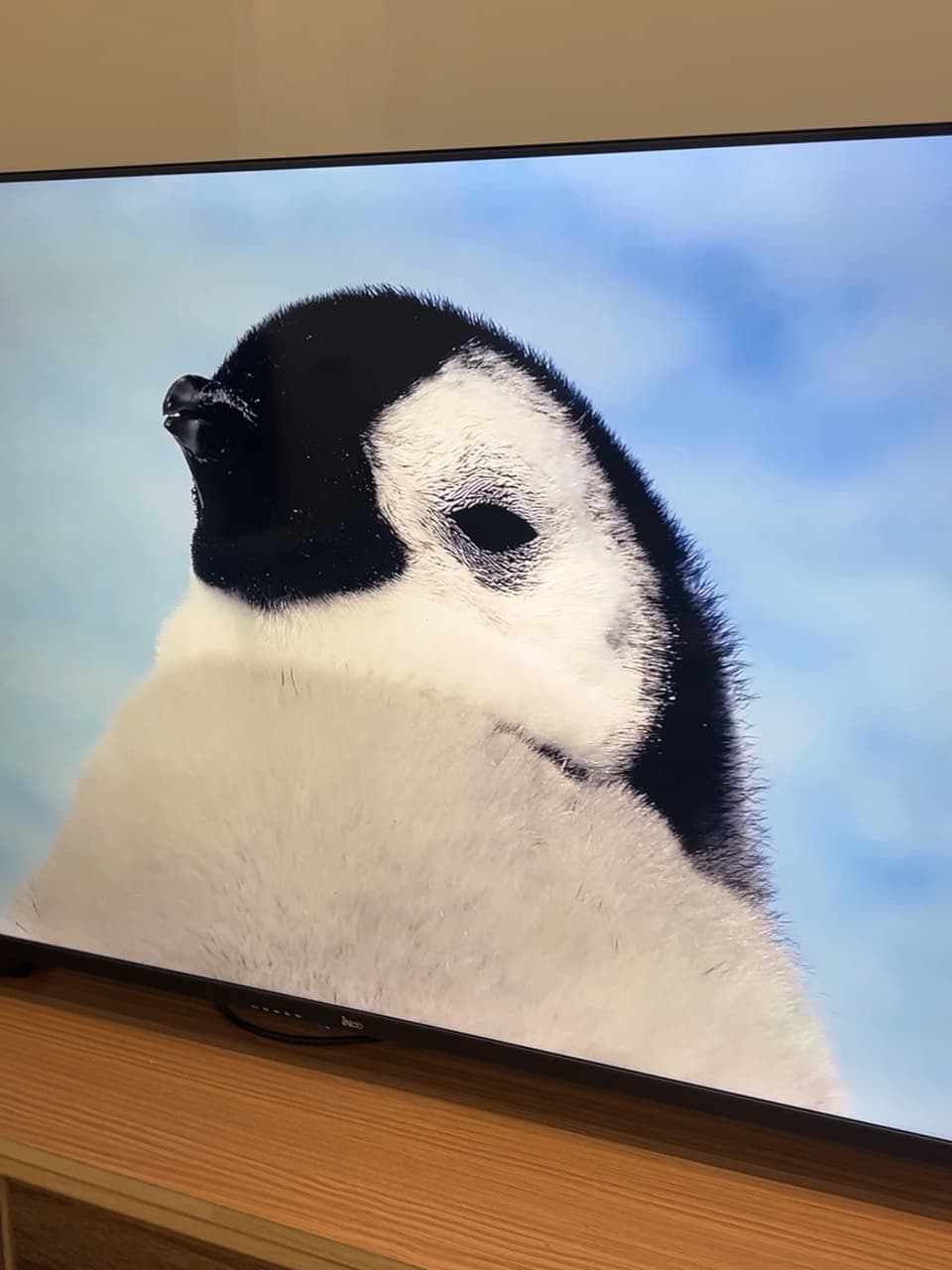 megapx
