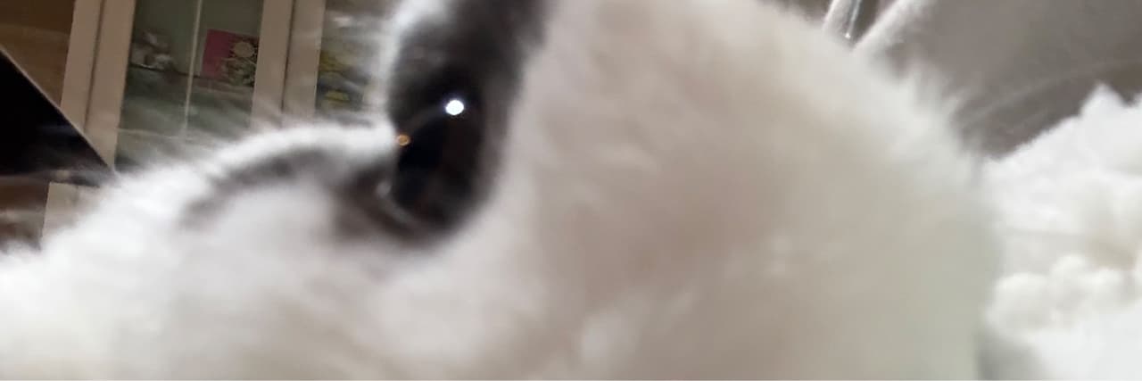 tz