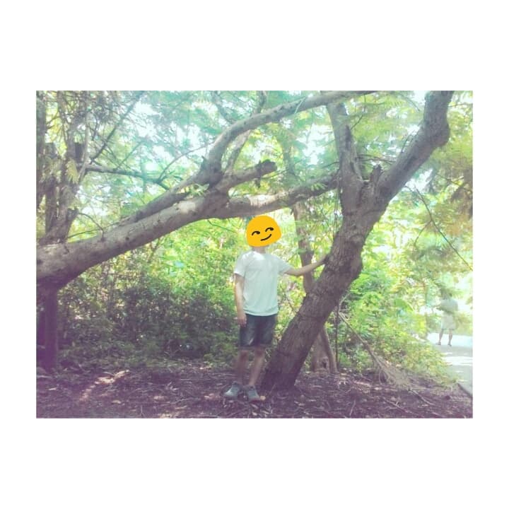 megapx